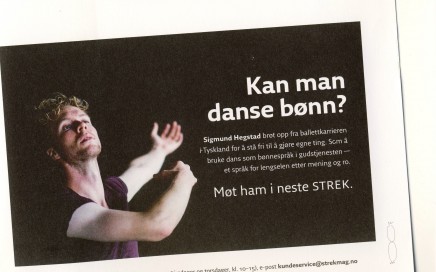 Sigmund Hegstad STREK reklame